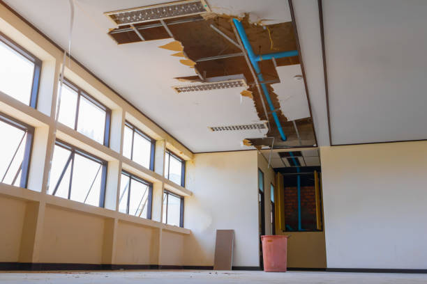 Best Flood damage cleanup  in Parkland, WA