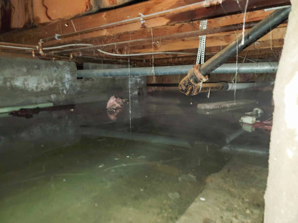 Best Water damage restoration insurance claims  in Parkland, WA