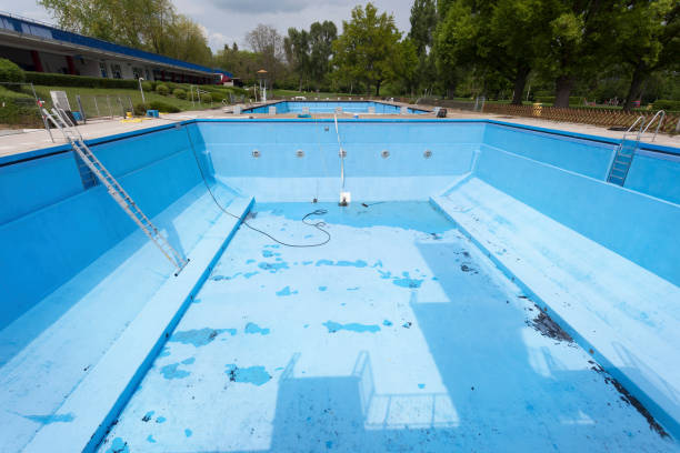 Best Ceiling water damage repair  in Parkland, WA