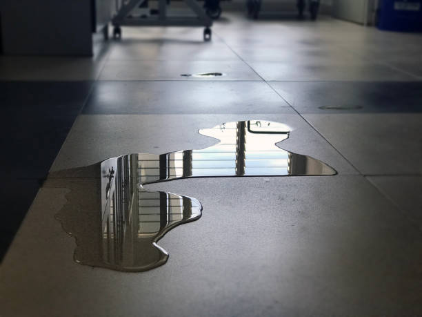 Best Emergency water damage restoration  in Parkland, WA