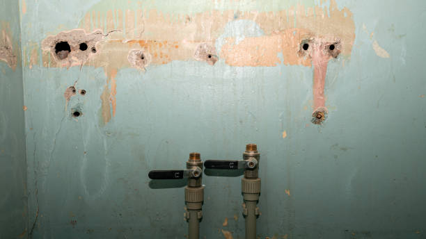 Best Water damage cleanup near me  in Parkland, WA