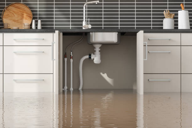 Reliable Parkland, WA Water damage restoration Solutions