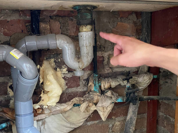 Best Water damage repair service  in Parkland, WA