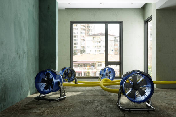 Carpet water damage restoration in Parkland, WA