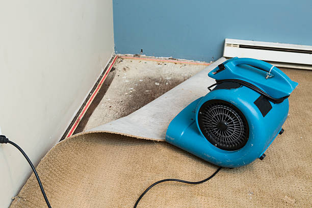 Water damage restoration insurance claims in Parkland, WA